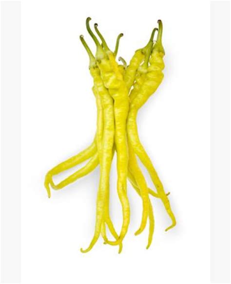 Az Eros hegyes paprika termelésének statisztikái
