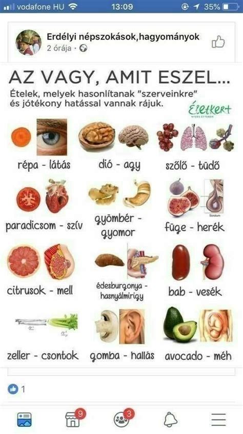 Egészséges étkezés infographic