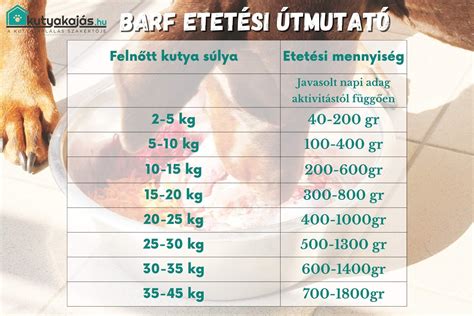 barf etetés összetevői