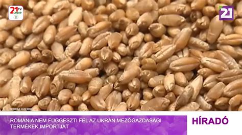 A mezőgazdasági termékek értékesítési lánca
