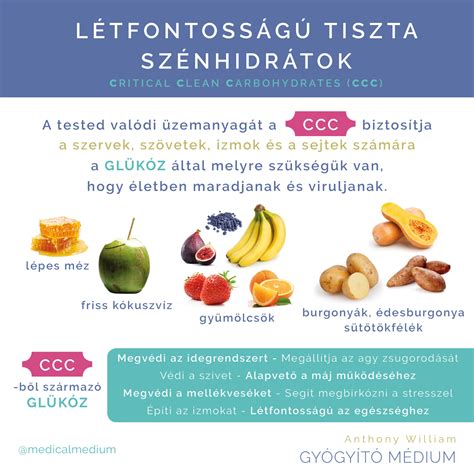 Sütőtökfélék diagramja, különböző fajtákkal