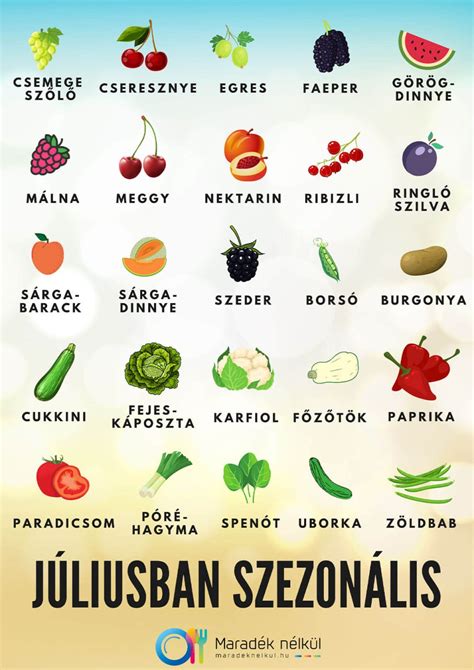 Szezonális zöldségek infografikája, kiemelve a sütőtököt