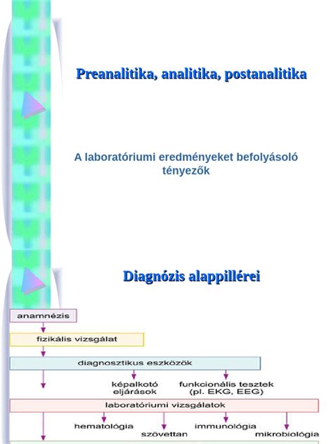 A szállítócsiga élettartamát befolyásoló tényezők diagramja (anyagminőség, terhelés, karbantartás)