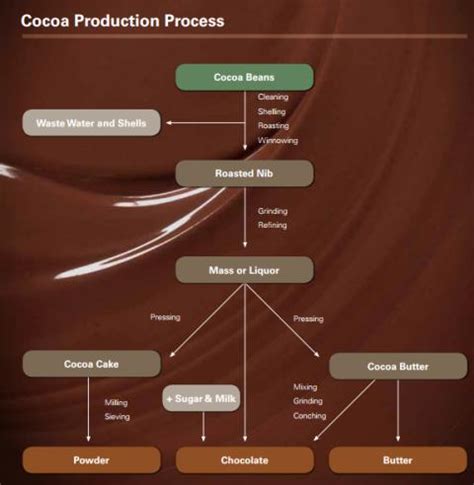 kakaóbab feldolgozása diagram