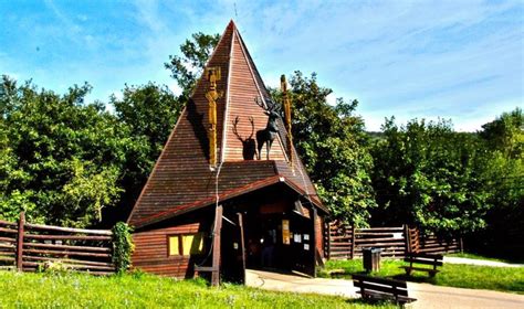 Természetfotó a Budakeszi Vadaspark környékéről, ahol a vörös mókusok is gyakran láthatóak