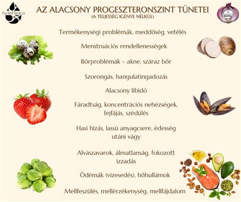 A progeszteron szerepe a női szervezetben