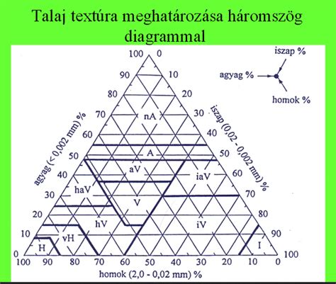 talajszerkezet és gyökérzet metszete