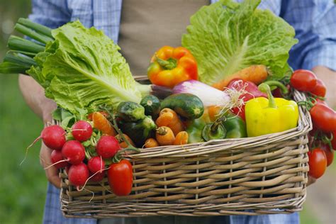 friss idényzöldségek és gyümölcsök kosárban, közvetlenül a termelőtől