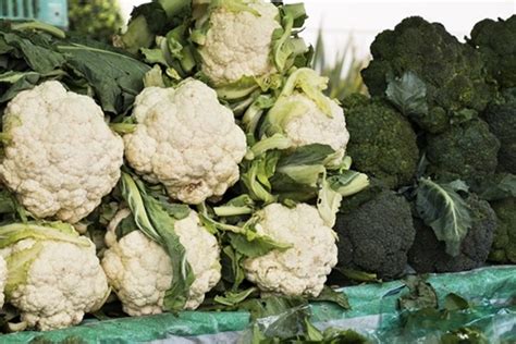 különböző zöldségfélék, mint a brokkoli, karfiol és burgonya előkészítve a rétegzéshez