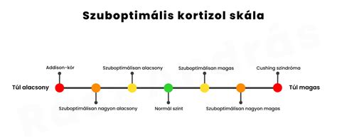 Cukor és tesztoszteron szint