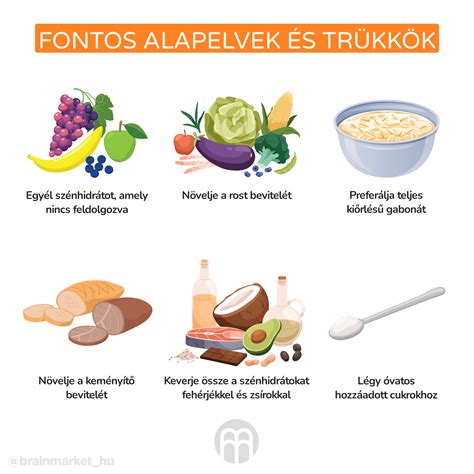 Az alacsony szénhidráttartalmú étrend alapelvei
