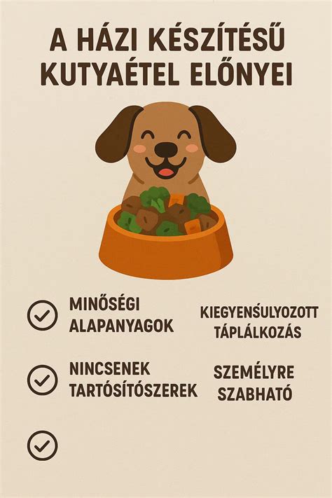 házi készítésű ételek előnyei infografika