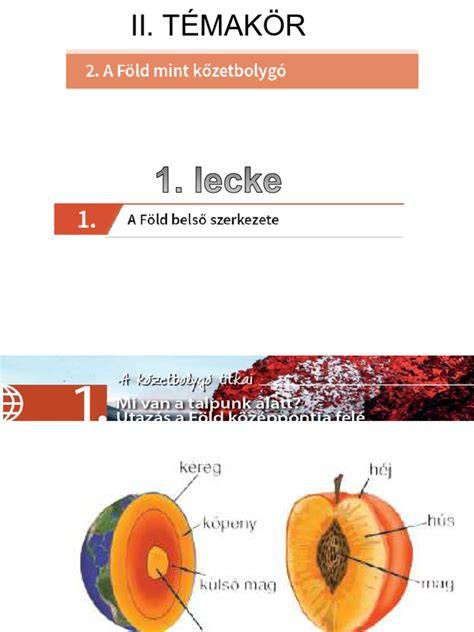 Pekándió termésének belső szerkezete