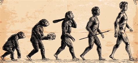 Az emberi evolúció és az étrend változásai