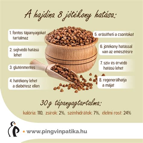 Hajdina tápanyagok infografika