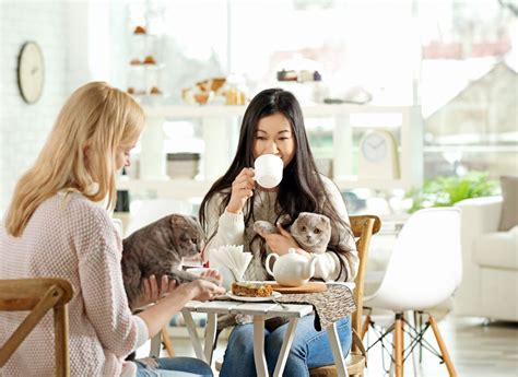 Egy gondosan elkészített cappuccino a Relax Kávézóban, háttérben a kávézó modern enteriőrjével