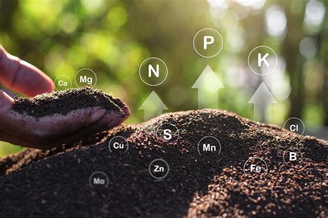 A talaj pH-értékét bemutató infografika