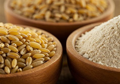 Durum búza és hagyományos búza szem összehasonlítása