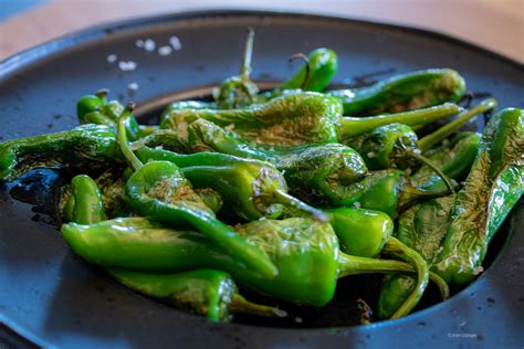 Padrón paprika termések a növényen