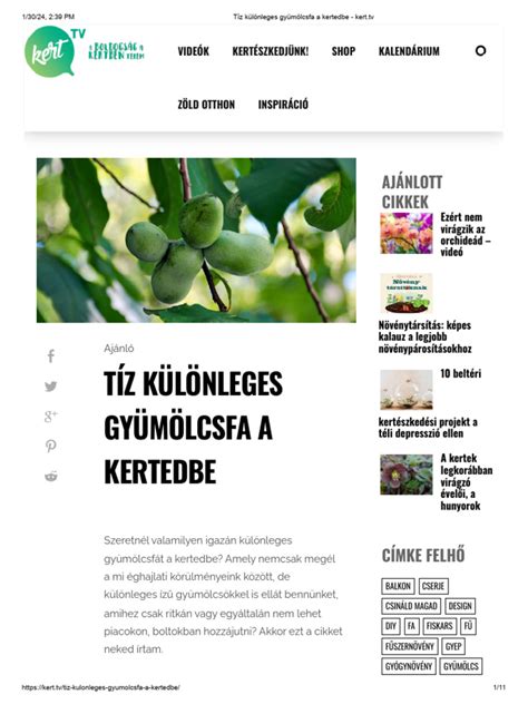 Különleges lekvárízek