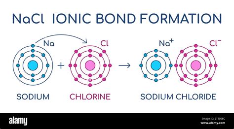 Diagram showing the chemical structure of Sodium Chloride (NaCl)