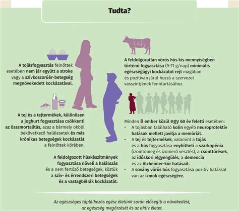 infografika az élelmiszerek emésztési idejéről a gyomorban