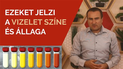 Cukrászkrém állaga és színe