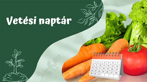 infografika a vetési naptárról: februártól májusig tartó folyamatok