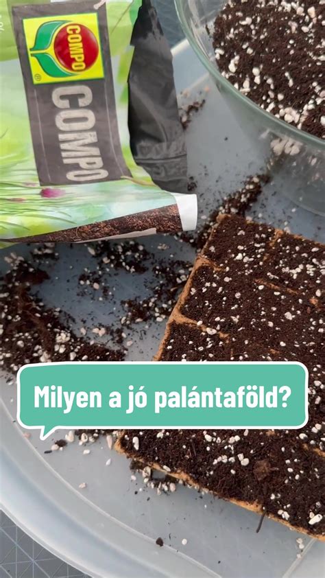 palántaföld előkészítése és fertőtlenítése