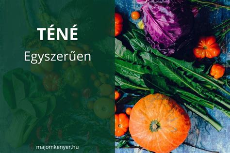 Teljes értékű növényi étrend piramis