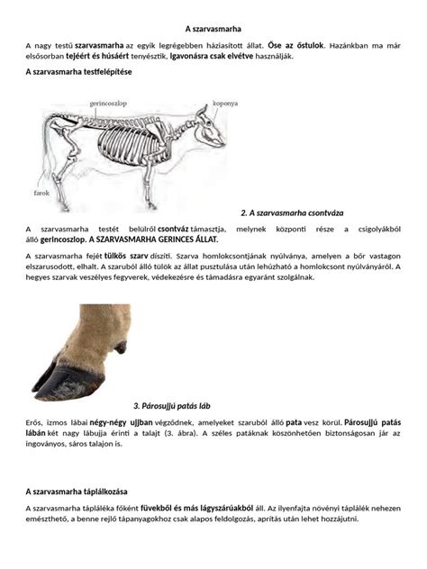 Szarvasmarha vemhességi kalkulátor felület
