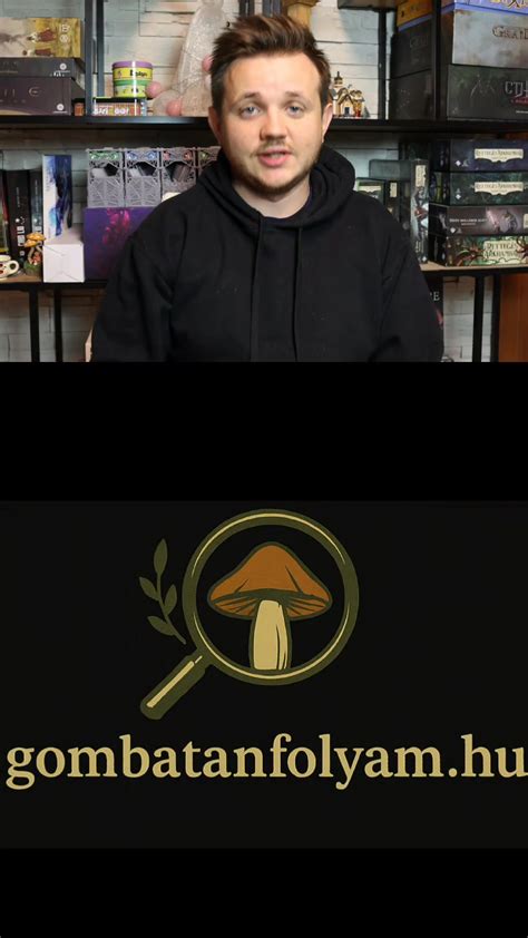 Két ellési szezon összehasonlítása