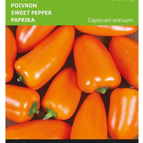 Kalciumhiányos paprika termés