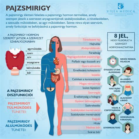 Pajzsmirigy és hormonok működése