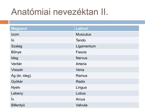 Sertés anatómiai diagramja