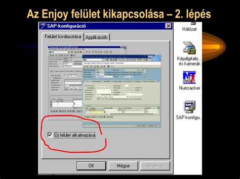 Céginformációs rendszer felülete