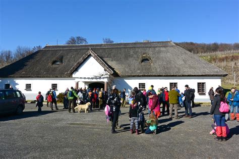 Tihanyi Apátsági Pince és Présház külső homlokzata