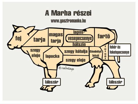 marha bontási ábra