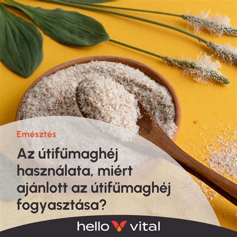 Az útifűmaghéj szerepe a gluténmentes sütésben