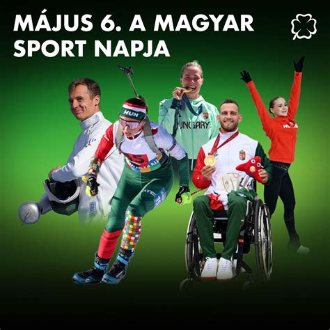 Baja látképe és a sportélet hangulata
