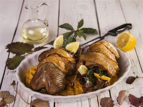 Vörösboros vadkacsa pácolás közben