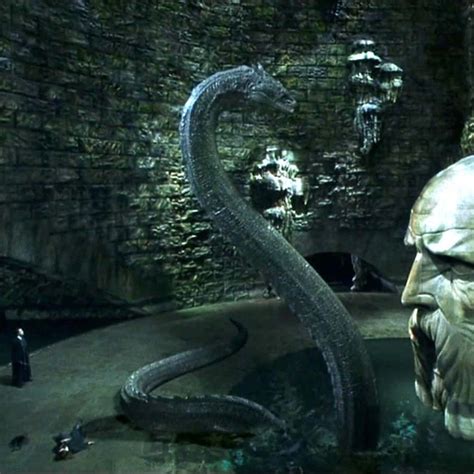 Baziliszkusz harca Harry Potterrel