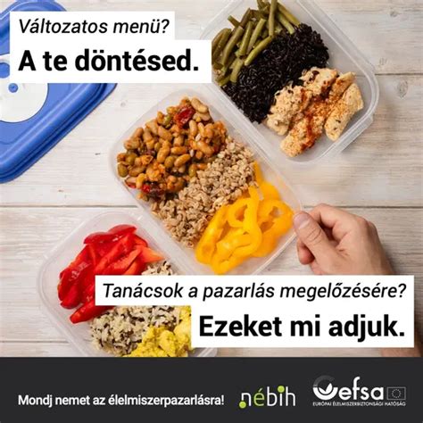 Különböző típusú Pataki tálak