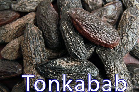 Tonkabab magok