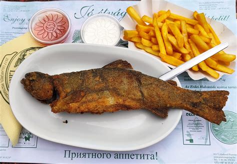 Pisztrángtelep