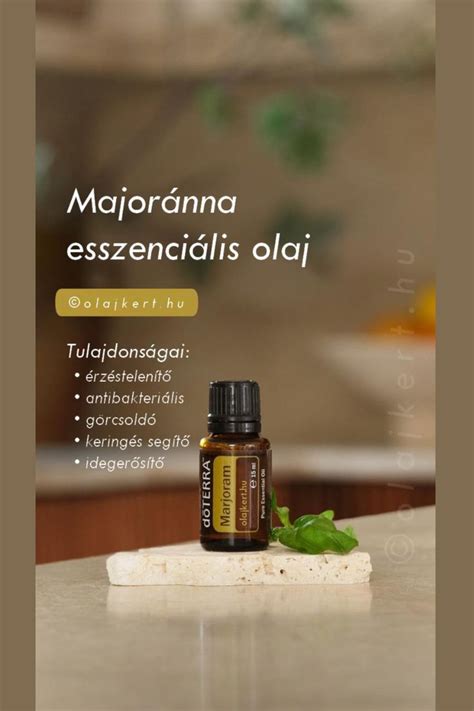Sütőtök felhasználási módjai infographic