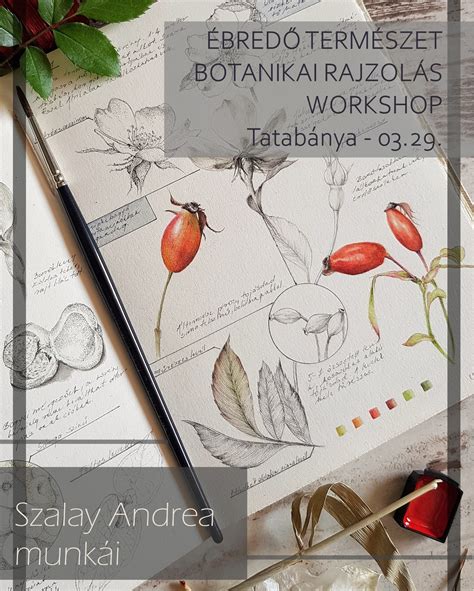 Uborka botanikai ábrázolása magokkal