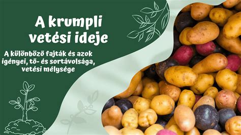 Különböző kelbimbó fajták