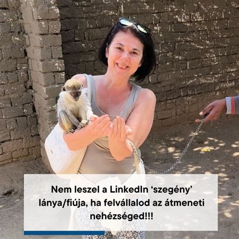 Hadarik Rita termékpalettája