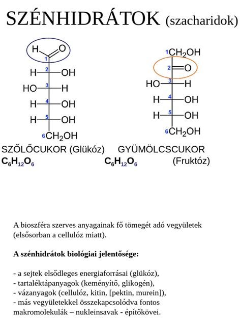 Szénhidrátok visszavezetése